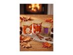 Three autumn-themed scented candles: Toffee Apple, Pumpkin Spice, and Black Fig.