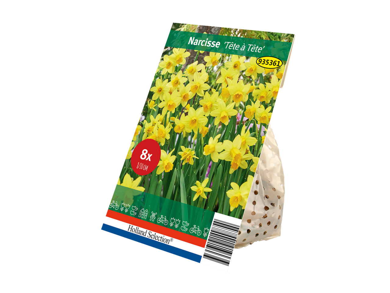 Holland Selection Narcisse 'Tête à Tête' bulbs in packaging.