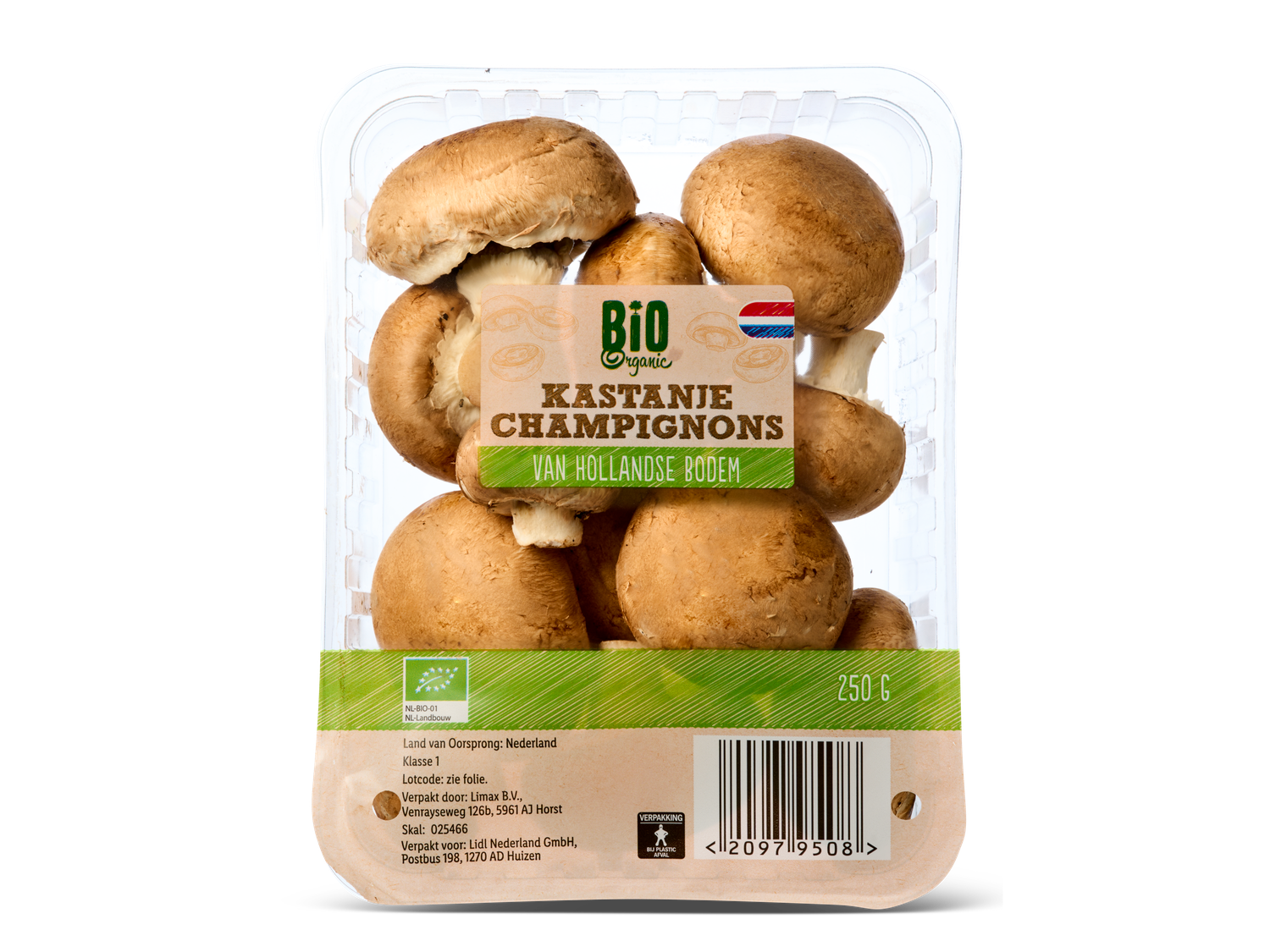 Biologische kastanje champignons