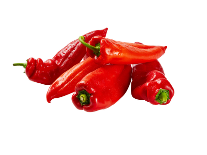 Puntpaprika rood