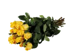 Buquê de rosas amarelas