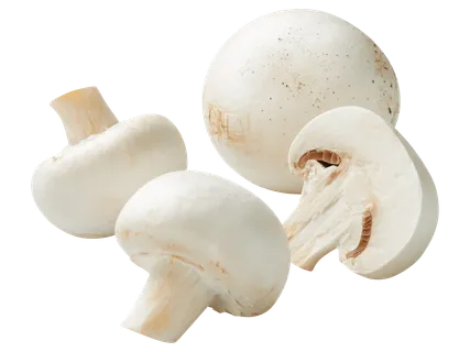 Csiperkegomba