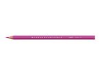 A BIC Evolution colored pencil in fuchsia pink.