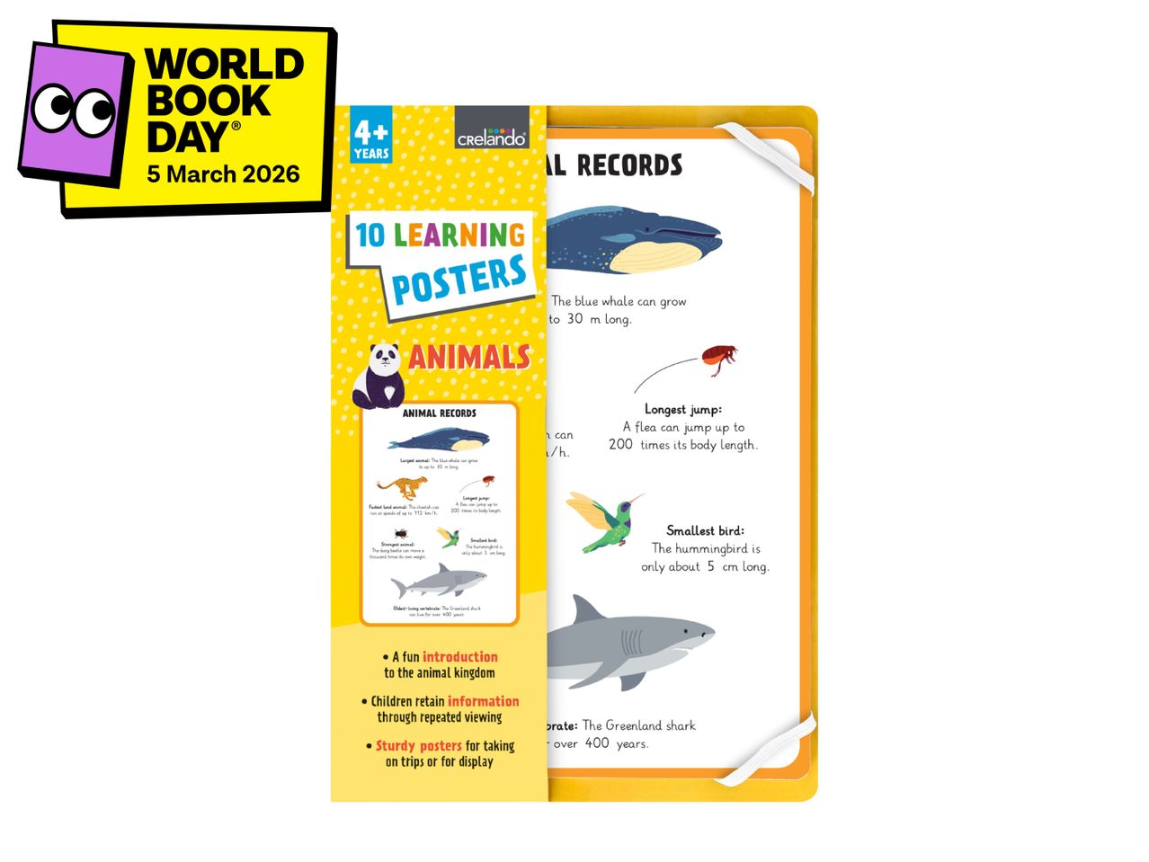 World Book Day poster and animal learning posters with facts about various animals.