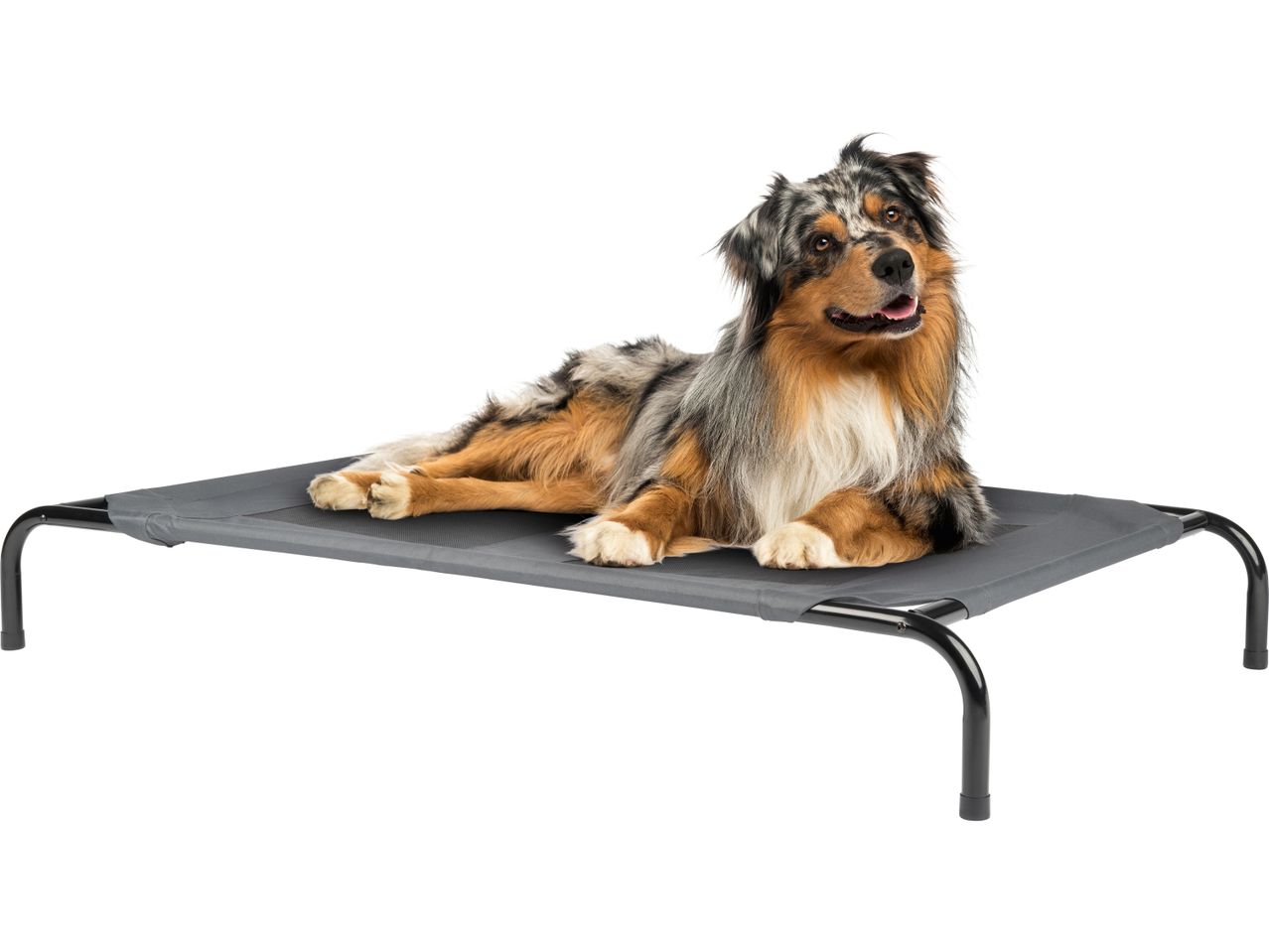 An Australian Shepherd lies on a gray zoofari® Pet Bed
