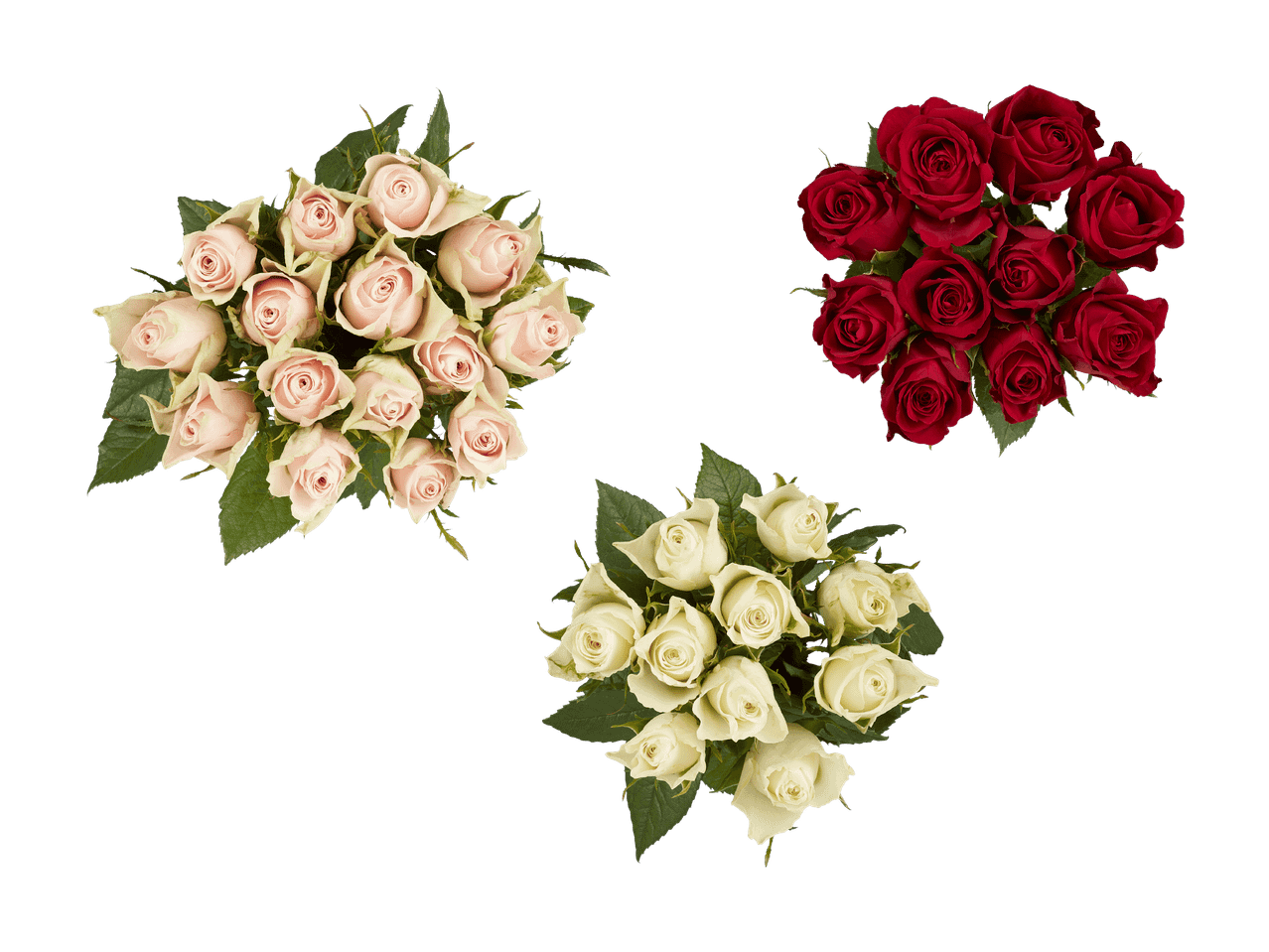 Trois bouquets de roses : roses pâles, oranges et jaunes, sur fond noir.