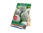 Verpakking voor Allium 'Ping Pong' bloembollen van Holland Selection.