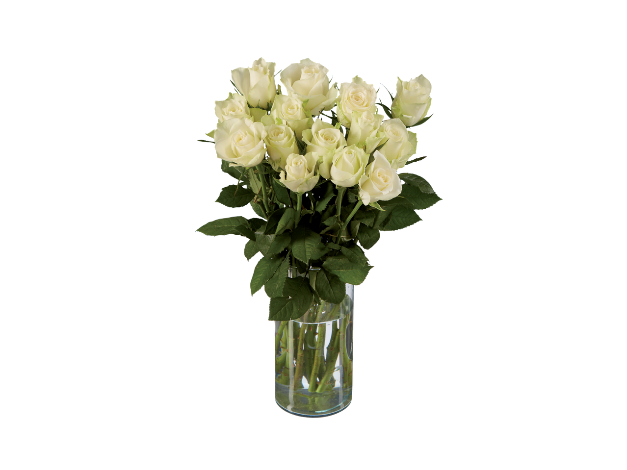 Blyškiai žalių rožių puokštė skaidriame stikliniame vazone.