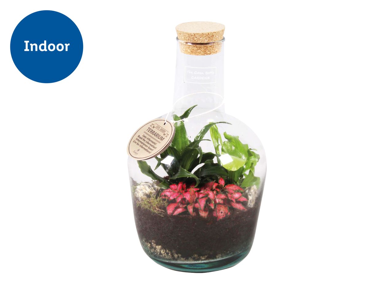 Indoor terrarium in a glass bottle with a cork stopper, featuring green and red plants.