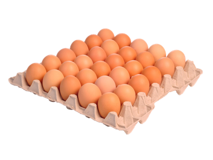 Friss tojás*