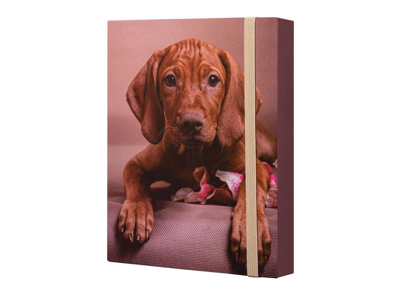 Barna vizsla kiskutya egy rózsaszín takarón, egy napló borítóján.