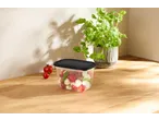 SILVERCREST® Food Storage Container with caprese salad, tomatoes, and basil plant.