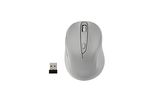 A silver wireless mouse with its USB receiver.