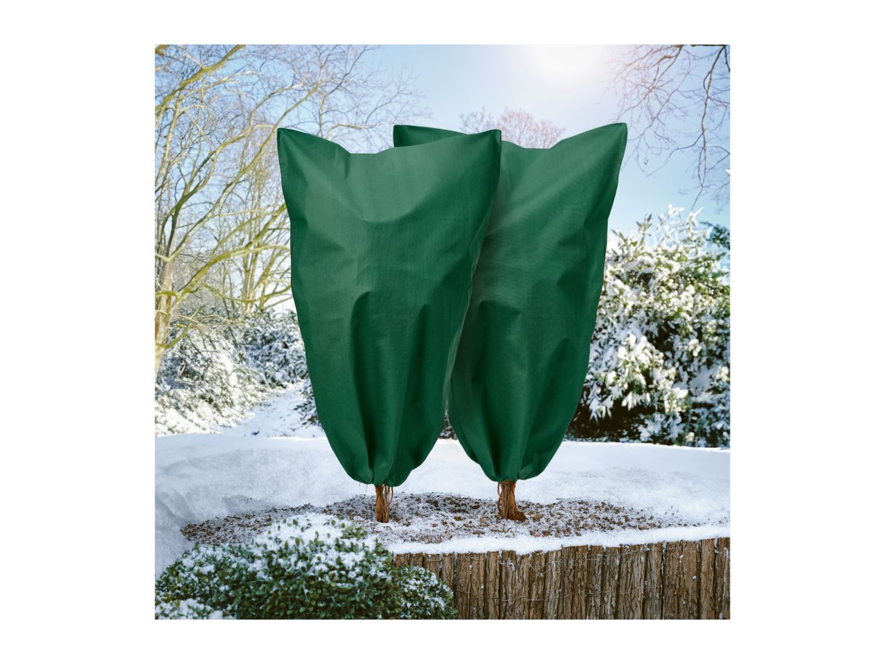 Two small garden trees covered in green winter protection bags in a snowy garden.