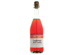 Espumante rosé Lambrusco dell'Emilia da Villa Bonaga.