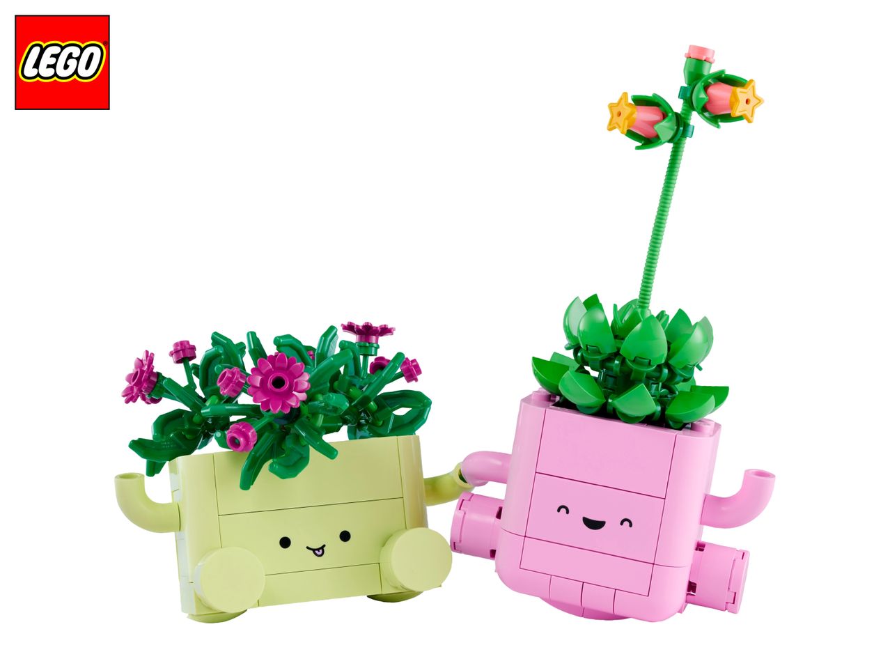 Two smiling plant pots, one light green with pink flowers, one pink with green leaves and star-shaped flowers.