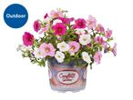 Potted outdoor flowers in pink and white, with a blue 'Outdoor' label.