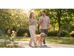 Casal com cão a passear no parque, ela veste calças bege e t-shirt cinzenta