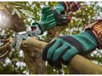 Un giardiniere usa un Seghetto ricaricabile PARKSIDE® per potare un ramo di albero.
