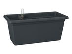 Dark grey rectangular self-watering planter with a water level indicator