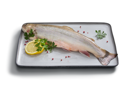 Deluxe Elsässer Saibling