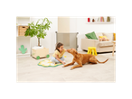 Child and dog playing near a retractable safety gate in a living room.