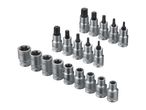 A set of chrome vanadium Torx and E-Torx sockets.