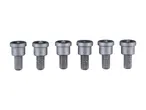 Six magnetic screwdriver bits with S2 PH2 markings.