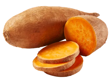 Édesburgonya