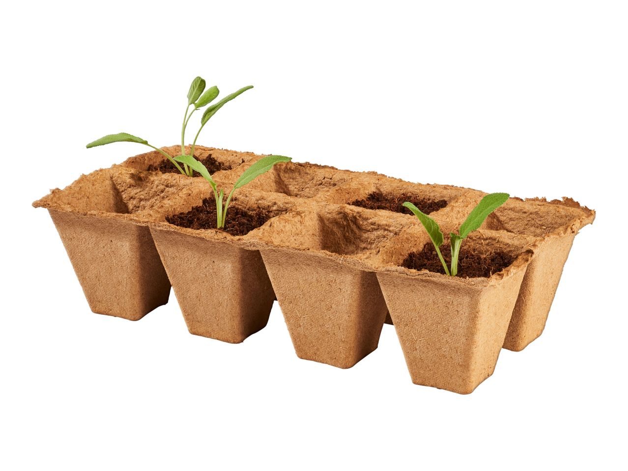 Go to full screen view: Parkside Grow Pots - 40 Pots - Image 3