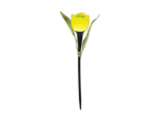 Solar-Tulpenleuchte in Gelb mit grünen Blättern auf schwarzem Hintergrund.