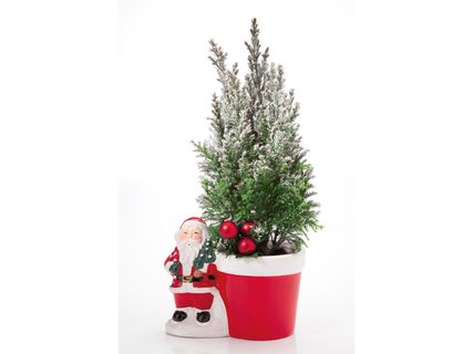 Örökzöldek télapó-figurás kaspóban*