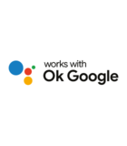 ok google
