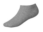 Single grey ankle sock on a white background