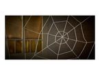 A white spiderweb stretches across a window with golden panes and a brick wall.