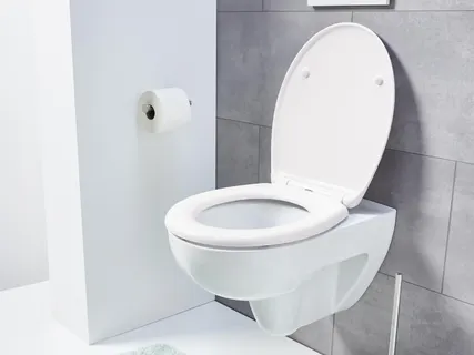 WC-ülőke
