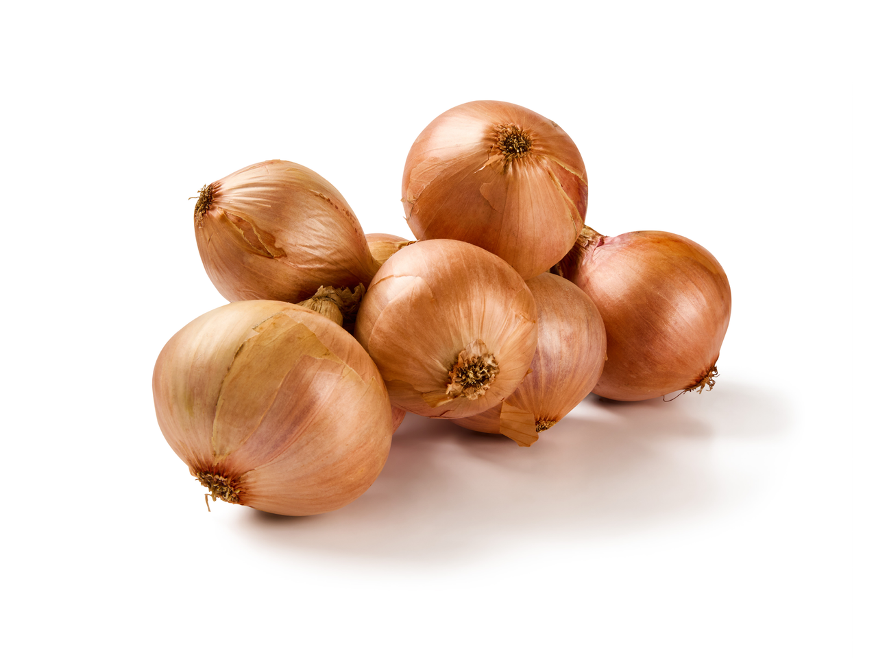 Купчина пресни шалот лук с кафяви люспи на бял фон.