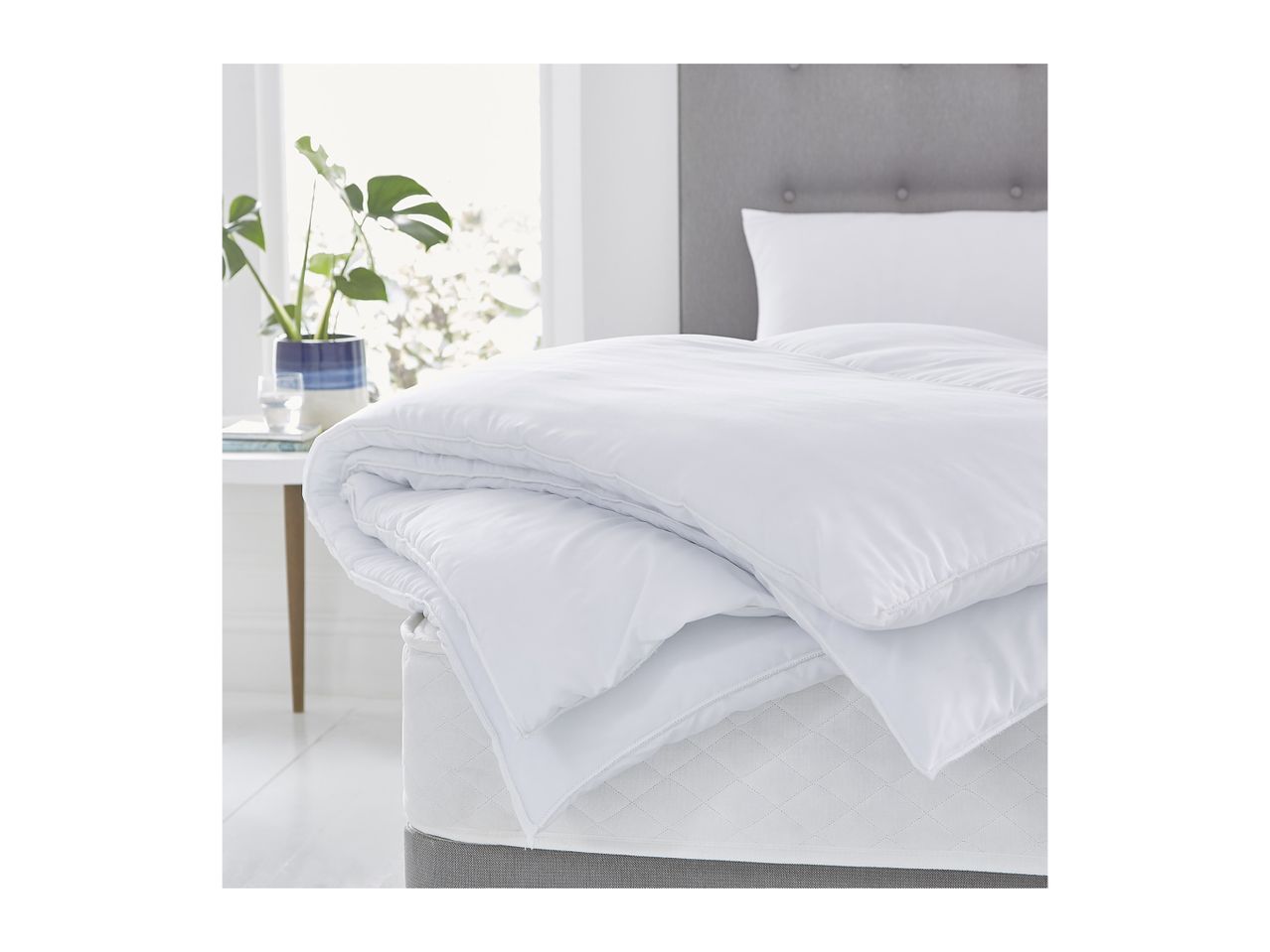 White duvet and pillows on a bed with a grey headboard, next to a plant on a table.