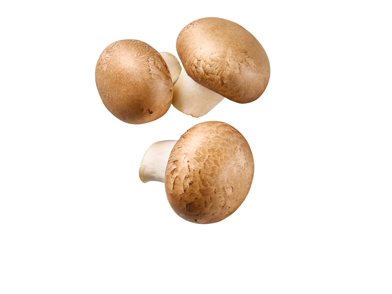 Três cogumelos castanhos com caules brancos sobre fundo preto