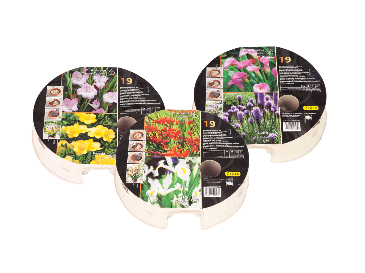 Tri pakiranja lukovica cvijeća s prikazima gladiole, frezije, krokosmije, irisa, zantedeschije i liatrisa.