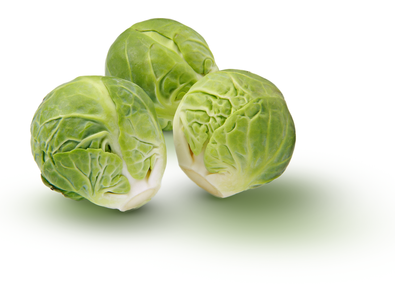 Three fresh Farrell's Irish Brussels Sprouts on a white background.