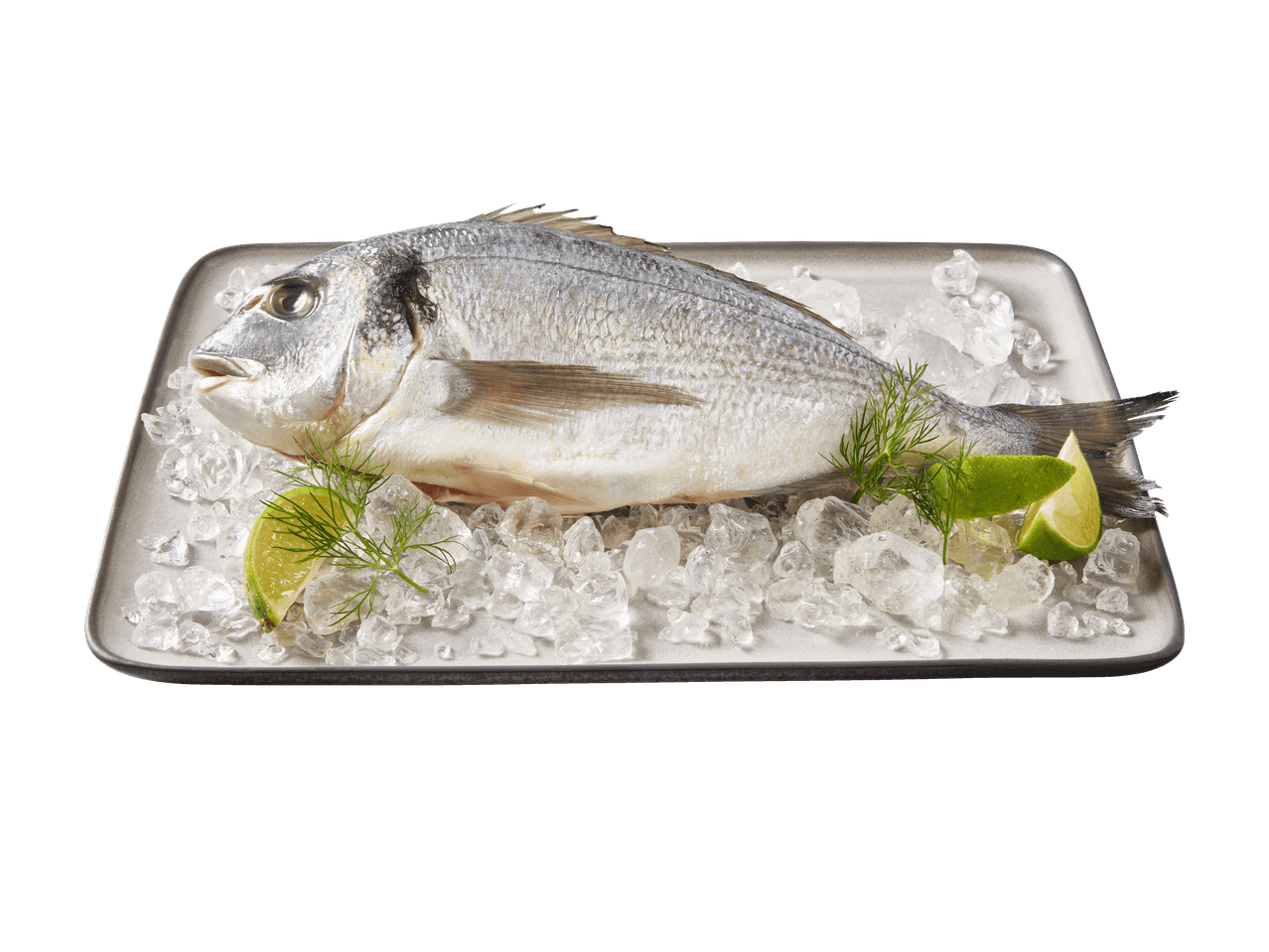 Frischer Fisch auf Eis mit Limettenscheiben und Dill auf einer Platte.