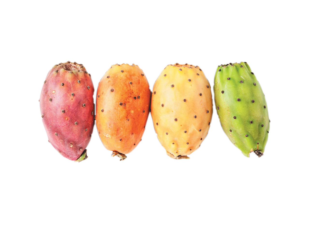 Fichi d'India