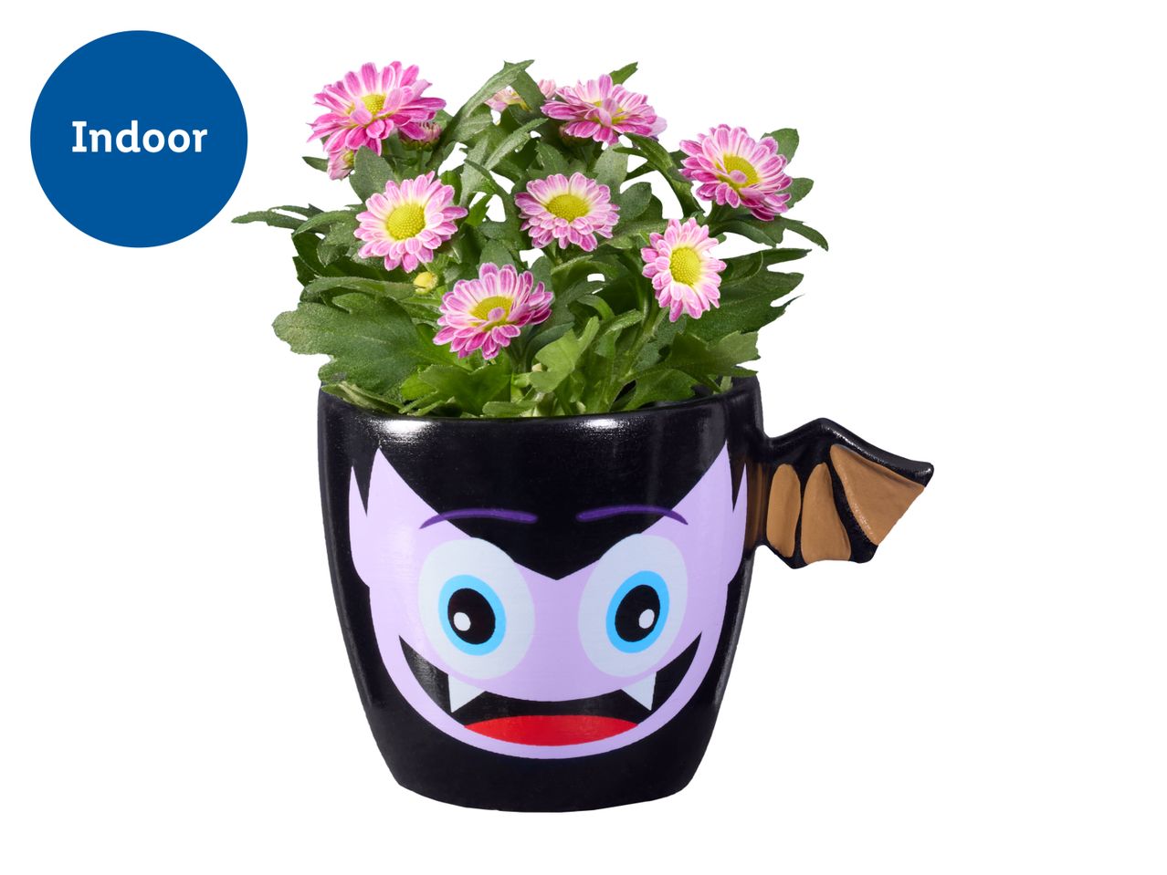 Pink flowers in a black vampire-themed pot with a bat wing handle, labeled 'Indoor'