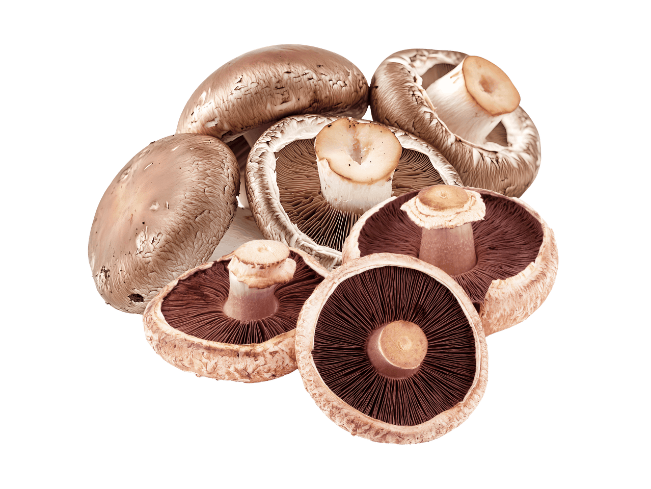 Eine Gruppe von braunen Champignons, die eng beieinander liegen.