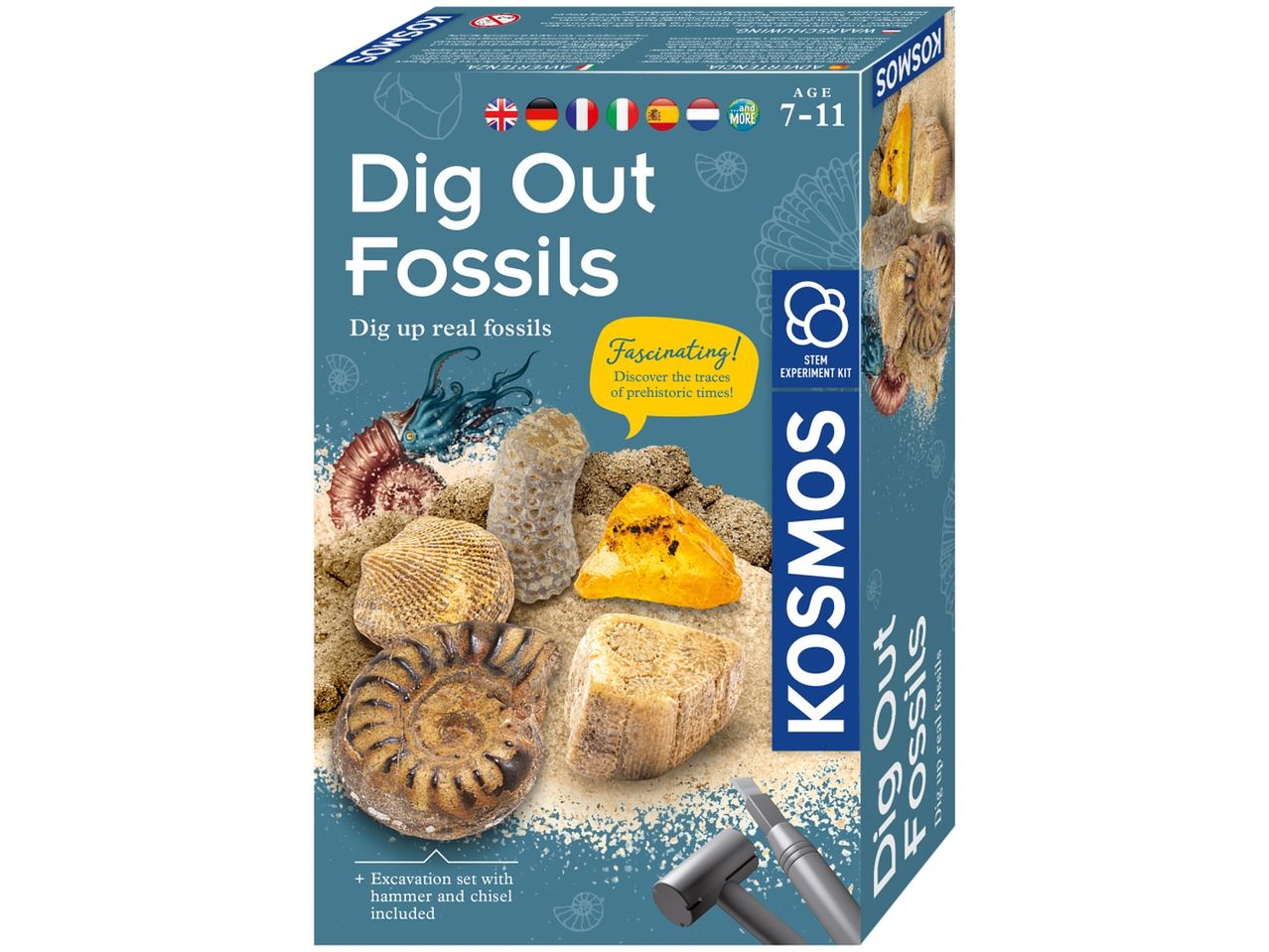 Kosmos Dig Out Fossils kit: unearth real fossils with included excavation tools.