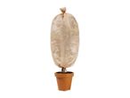 Potted plant wrapped in a protective beige winter fleece cover