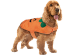 Cocker Spaniel dog in an orange Halloween costume with a pumpkin pattern.