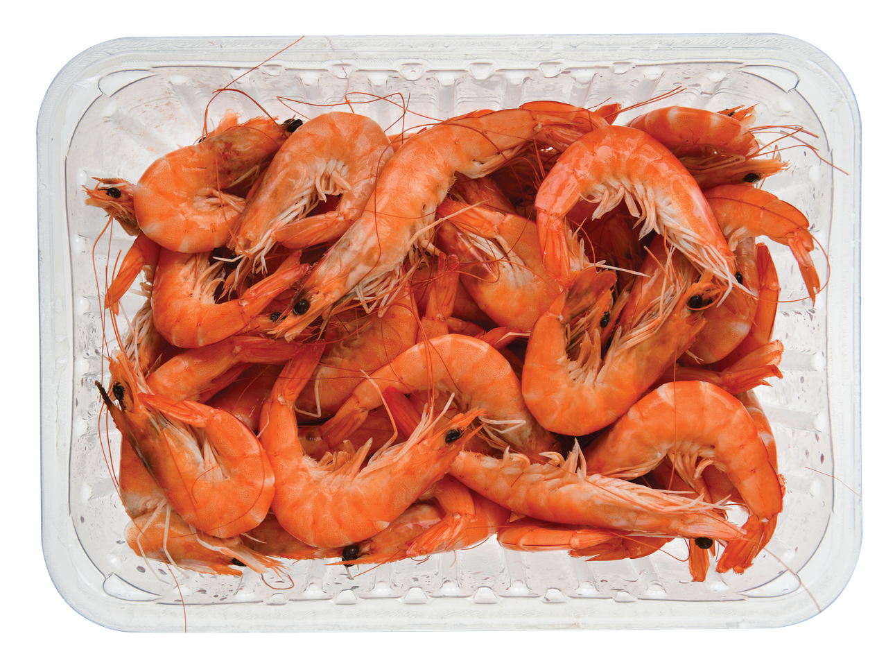 Bandeja de camarões cozidos.