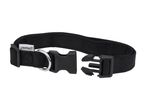 A black ZooFari dog collar with a plastic buckle and D-ring.